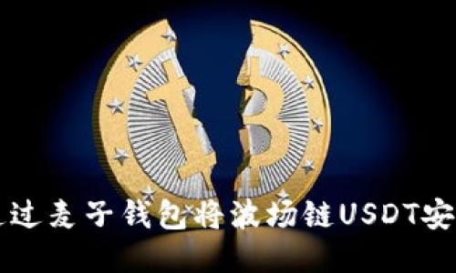 如何通过麦子钱包将波场链USDT安全转出