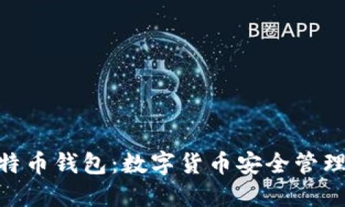 Tokenim比特币钱包:数字货币安全管理的首选利器
