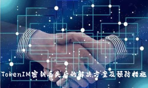 TokenIM密钥丢失后的解决方案及预防措施