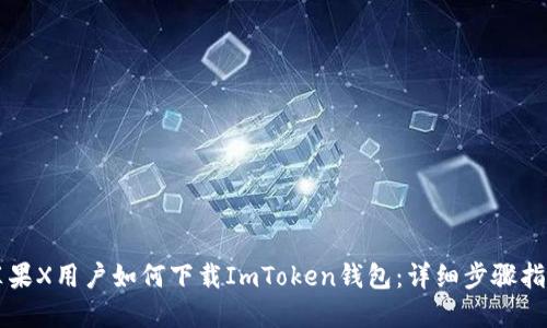 苹果X用户如何下载ImToken钱包：详细步骤指南