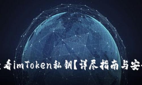 如何查看imToken私钥?详尽指南与安全策略