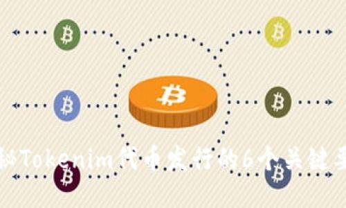 揭秘Tokenim代币发行的6个关键要素