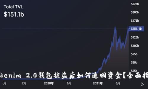 Tokenim 2.0钱包被盗后如何追回资金？全面指南