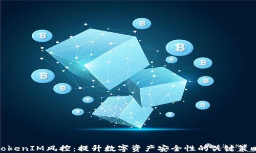 TokenIM风控:提升数字资产安全性的关键策略