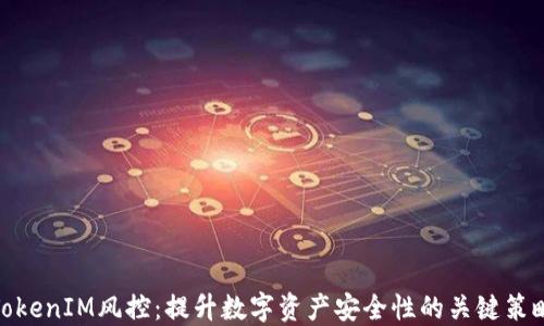 TokenIM风控:提升数字资产安全性的关键策略