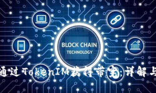 如何通过TokenIM获得带宽:详解与策略