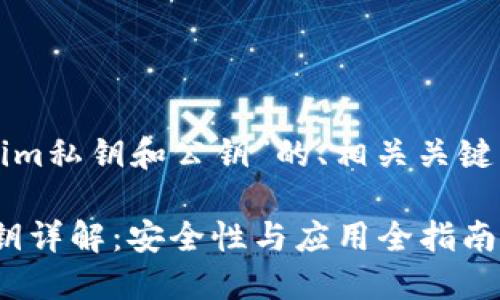 以下是关于“tokenim私钥和公钥”的、相关关键词和详细内容大纲。
Tokenim私钥与公钥详解:安全性与应用全指南