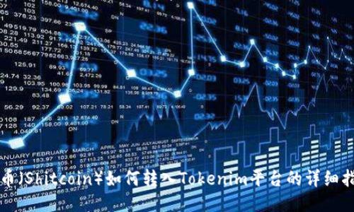 屎币(Shitcoin)如何转入Tokenim平台的详细指南