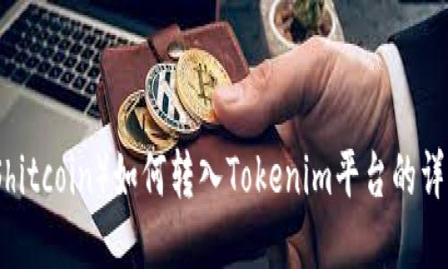 屎币(Shitcoin)如何转入Tokenim平台的详细指南