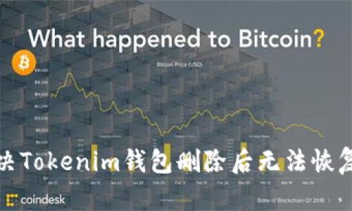 如何解决Tokenim钱包删除后无法恢复的问题