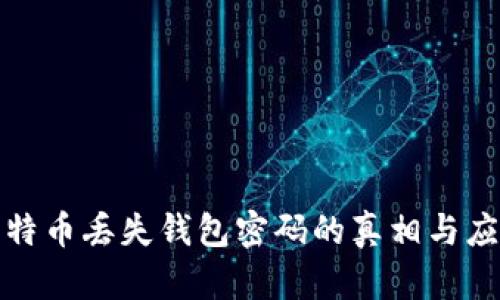 揭秘比特币丢失钱包密码的真相与应对策略