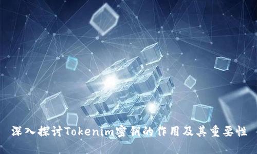深入探讨Tokenim密钥的作用及其重要性