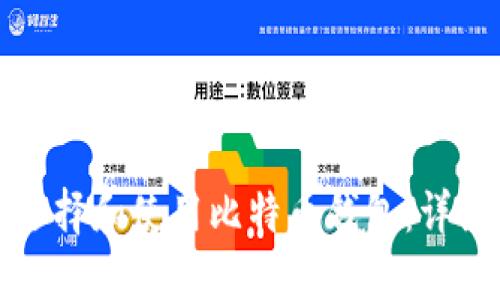 如何选择和使用比特币钱包:详细指南