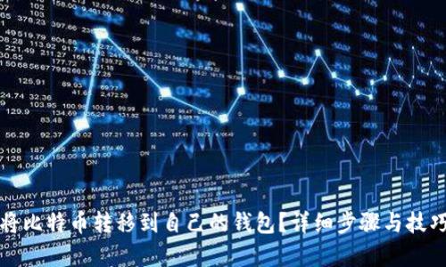 如何将比特币转移到自己的钱包?详细步骤与技巧解析
