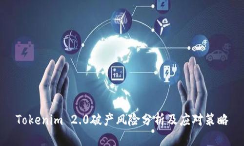 Tokenim 2.0破产风险分析及应对策略