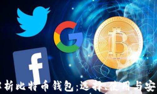 全面解析比特币钱包:选择、使用与安全指南