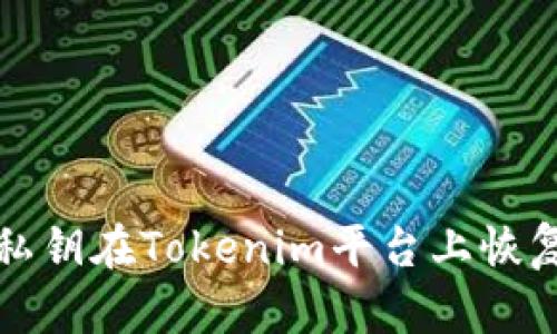 如何使用私钥在Tokenim平台上恢复您的资产