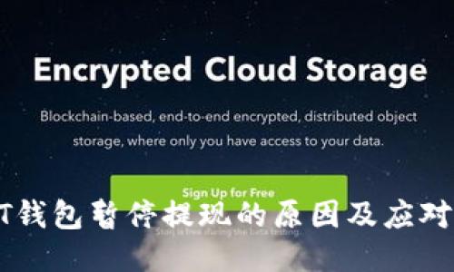 USDT钱包暂停提现的原因及应对措施