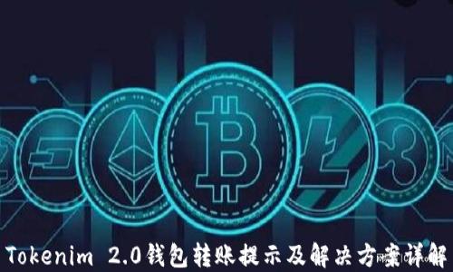 Tokenim 2.0钱包转账提示及解决方案详解