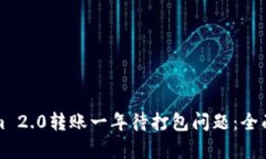 如何处理Tokenim 2.0转账一年待打包问题：全面解析
