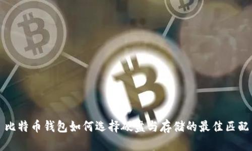 比特币钱包如何选择硬盘与存储的最佳匹配