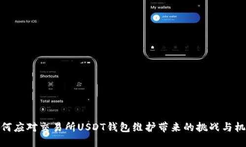如何应对交易所USDT钱包维护带来的挑战与机遇