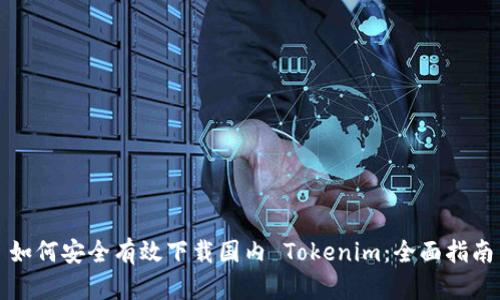 如何安全有效下载国内 Tokenim:全面指南