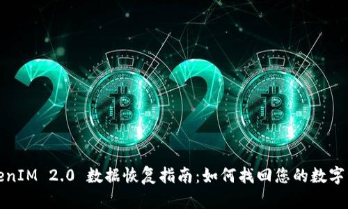 TokenIM 2.0 数据恢复指南:如何找回您的数字资产