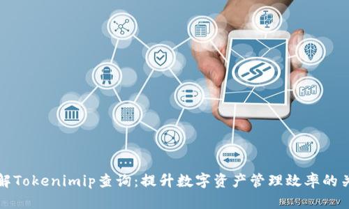 全面了解Tokenimip查询：提升数字资产管理效率的关键工具