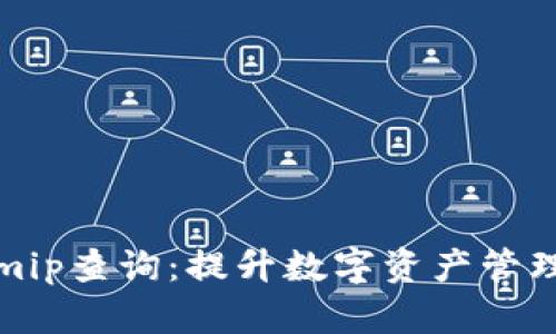 全面了解Tokenimip查询：提升数字资产管理效率的关键工具