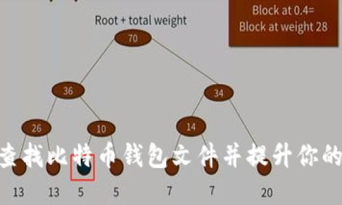 如何使用HEX查找比特币钱包文件并提升你的数字资产安全