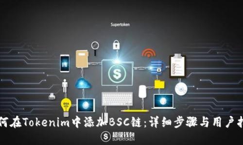 如何在Tokenim中添加BSC链：详细步骤与用户指南