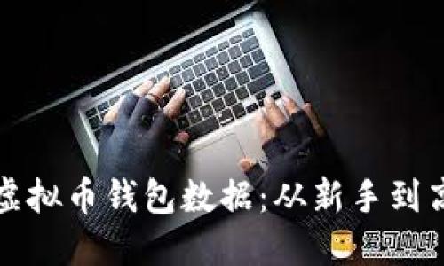 如何高效寻找虚拟币钱包数据:从新手到高手的全面指南