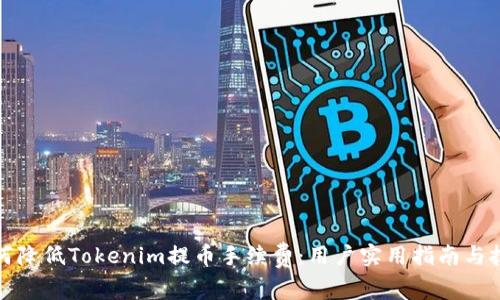如何降低Tokenim提币手续费:用户实用指南与技巧