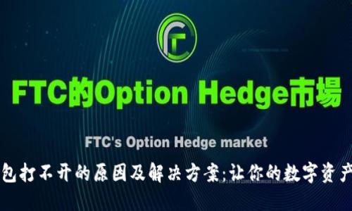 区块链钱包打不开的原因及解决方案:让你的数字资产安全无忧