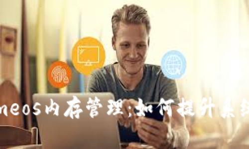 彻底解析Tokenimeos内存管理:如何提升系统性能与应用效率