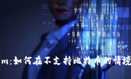 深入了解Tokenim:如何在不支持比特币的情境中数字资产投资