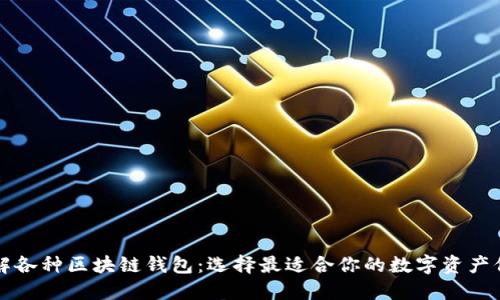 深入了解各种区块链钱包:选择最适合你的数字资产保护方式