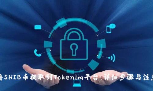如何将SHIB币提取到Tokenim平台:详细步骤与注意事项
