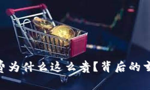 揭秘Tokenim手续费为什么这么贵？背后的玄机和用户如何应对
