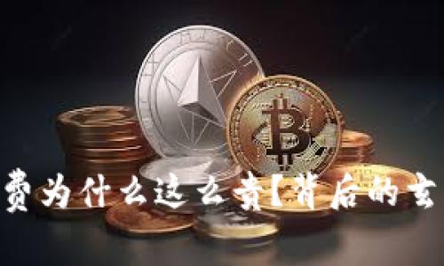 揭秘Tokenim手续费为什么这么贵？背后的玄机和用户如何应对