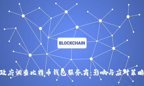 政府调查比特币钱包服务商：影响与应对策略