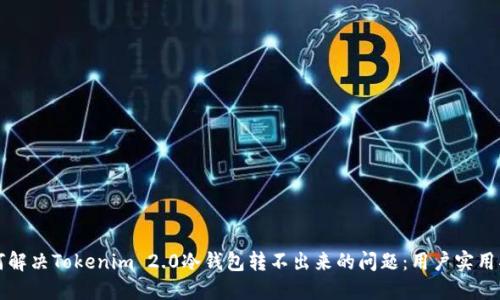 如何解决Tokenim 2.0冷钱包转不出来的问题:用户实用指南