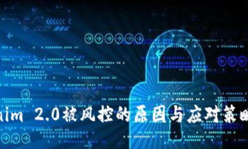 Tokenim 2.0被风控的原因与应对策略探讨