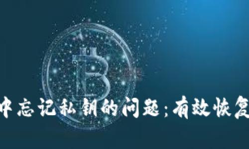 如何处理Tokenim 2.0中忘记私钥的问题:有效恢复与保护数字资产的策略