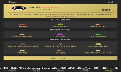 如何在升级Tokenim后顺利导入资金：全面指南