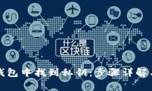 如何在以太坊钱包中找到私钥:步骤详解与安全注意事项