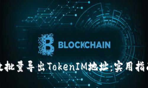 如何高效批量导出TokenIM地址:实用指南与技巧