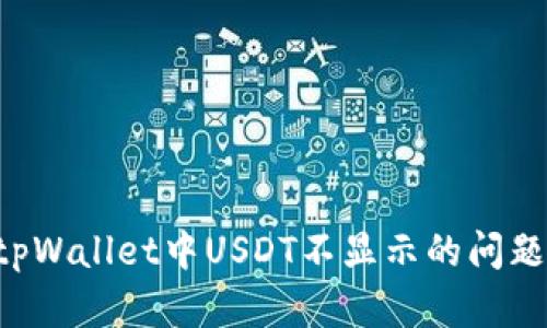 如何解决tpWallet中USDT不显示的问题:全面指南