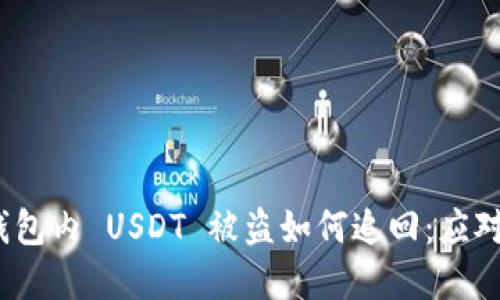 Tokenim 2.0 钱包内 USDT 被盗如何追回:应对策略与实用指南